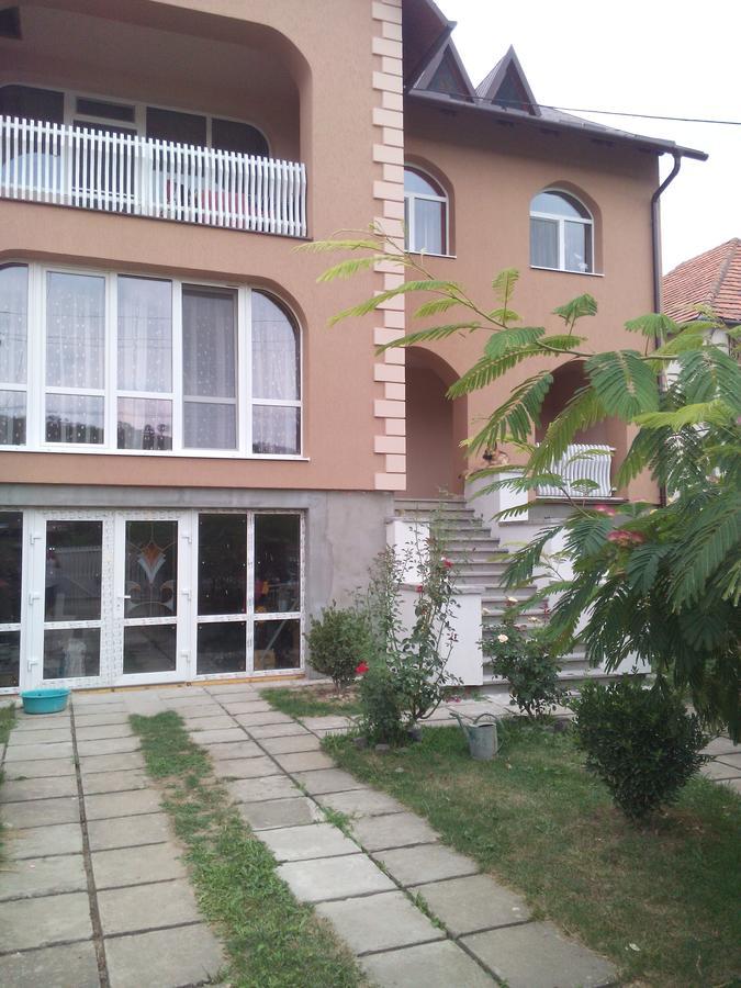 Appartement Private House à Berehove  Extérieur photo